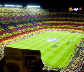 为什么越来越多人选择百家乐玩法